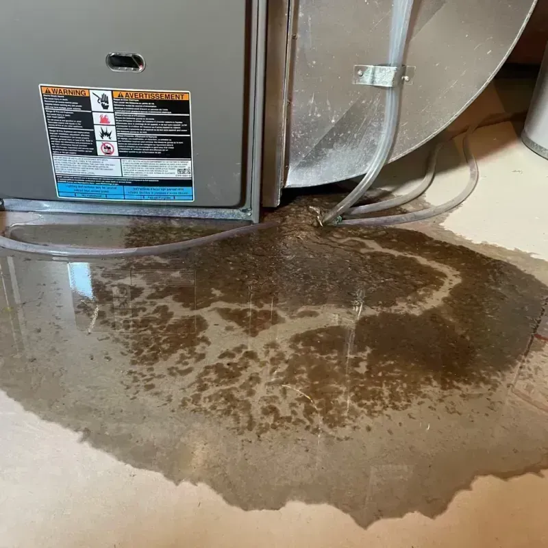 Appliance Leak Cleanup in New Berlin, IL